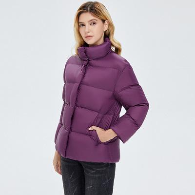 Women's Winter Coats Lightweight Stand Collar Short Duck Down Jackets