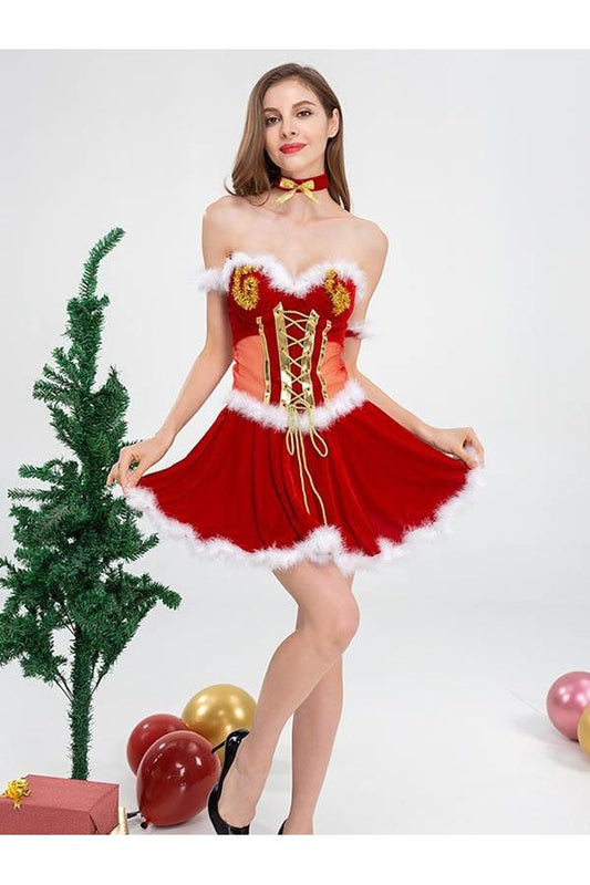 Womens Santa Dress Deluxe Santa Suit