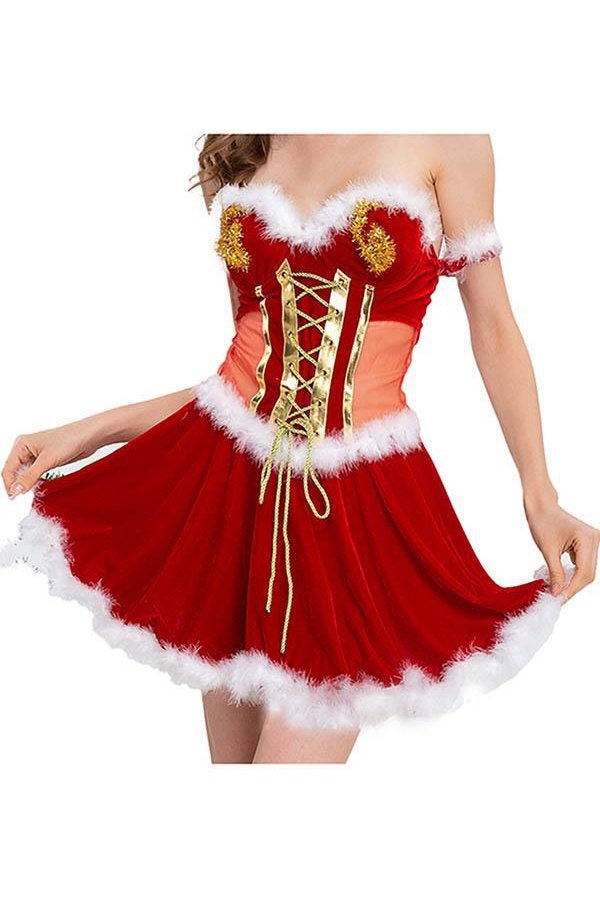 Womens Santa Dress Deluxe Santa Suit