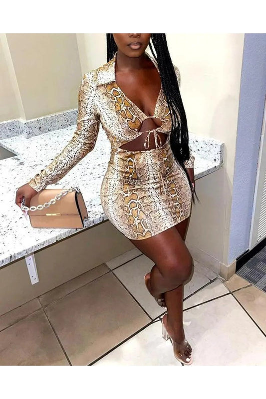 Women's Two Piece Snakeskin Print Crop Top And Bodycon Skirts Set